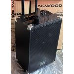 TAGWOOD 12 Inch Trolley Speaker