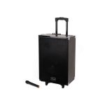 TAGWOOD 10A Outdoor Speaker